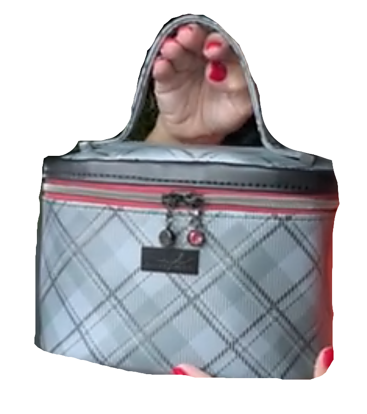 The Teresita Train Case