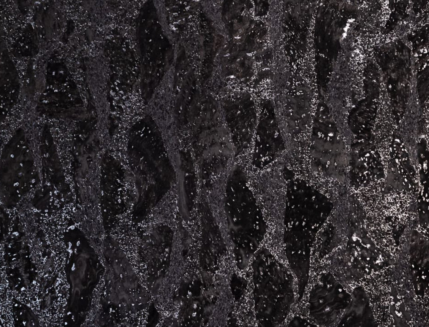 Women’s Tall Wallet Organizer Black or Pink Cork