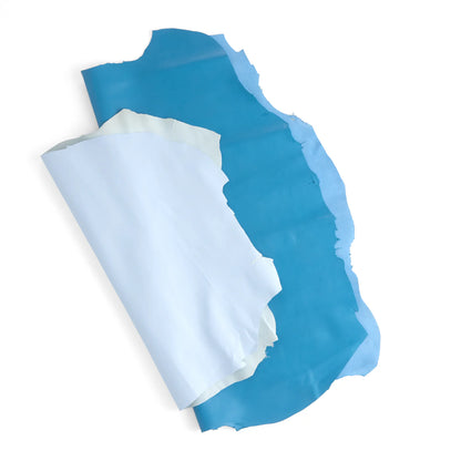 Designer Small Skin Blue Leather