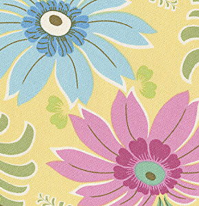 Amy Butler fabrics