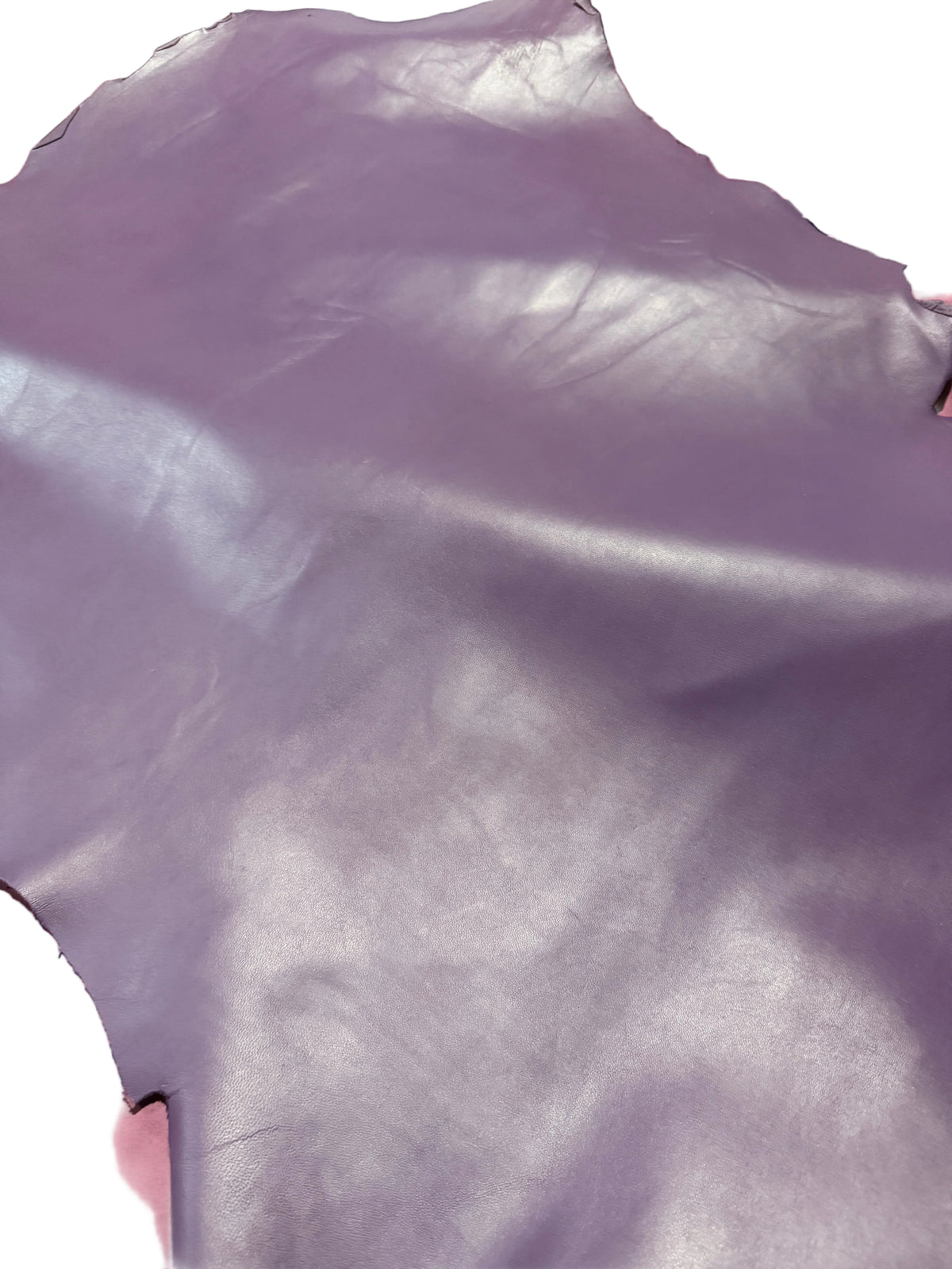 Purple Lamb Smooth