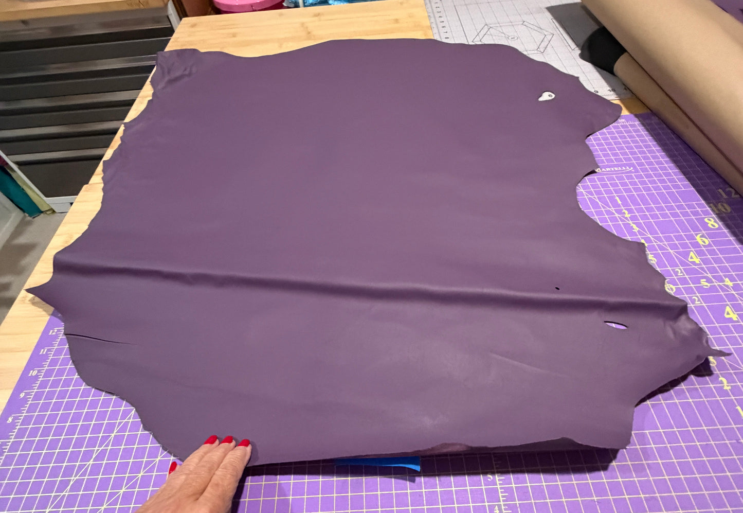 Leather SALE - Lamb, Sheepskin or Goat Hides